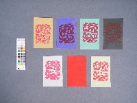 藏品(婆姐衣)的圖片