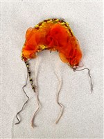 藏品(傀儡盔帽（小眉）)的圖片