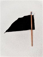 藏品(布袋戲道具)的圖片