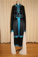 藏品(女褶)的圖片