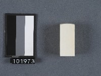 藏品(象牙製品加工印章)的圖片