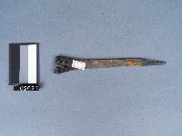 藏品(木刷)的圖片