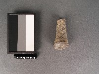 藏品(鋁製灌斗)的圖片