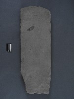 藏品(墓碑)的圖片