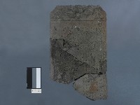 藏品(嚴禁畜養婢女過25歲不為擇配碑)的圖片