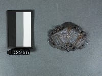 藏品(香火牌(鎖片))的圖片