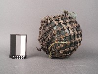 藏品(玻璃浮球)的圖片