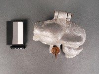 藏品(蛋糕鋁模(雞形))的圖片