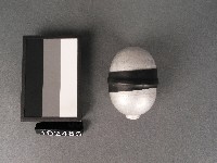 藏品(雞蛋冰鋁模)的圖片