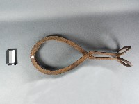 藏品(夾冰器(鐵製))的圖片