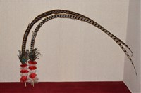 藏品(翎毛)的圖片