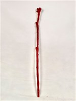 藏品(柺杖)的圖片