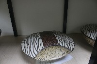 藏品(種子－延續生命)的圖片