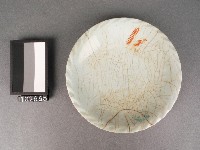 藏品(磁盤)的圖片