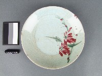 藏品(紅綠彩花卉紋盤)的圖片