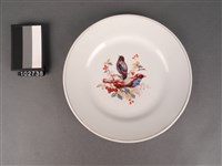 藏品(彩繪花鳥紋盤)的圖片
