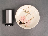 藏品(彩繪花卉紋碟)的圖片