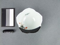 藏品(彩繪花卉紋碟)的圖片