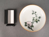 藏品(紅綠彩繪花卉紋碟)的圖片