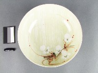 藏品(彩繪梅花紋碗)的圖片