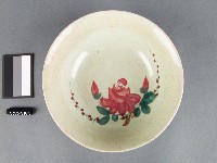 藏品(彩繪花卉紋碗)的圖片