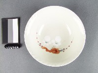 藏品(彩繪梅花紋碗)的圖片