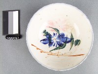 藏品(彩繪花卉紋碗)的圖片