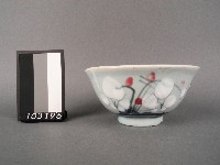 藏品(彩繪花卉紋碗)的圖片