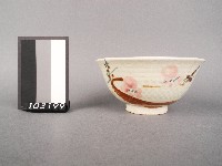 藏品(彩繪花卉紋碗)的圖片