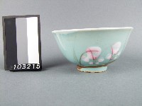 藏品(彩繪花草紋碗)的圖片