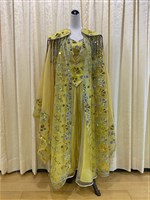 藏品(黃肉感裳)的圖片