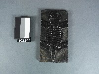 藏品(白虎木刻雕板)的圖片