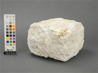 藏品(石灰岩)的圖片