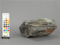 藏品(板岩)的圖片