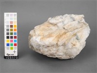 藏品(石英岩)的圖片