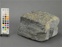 藏品(角閃岩(變質岩))的圖片