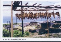 藏品(海飛魚地下屋－野銀部落風貌（達悟族）)的圖片