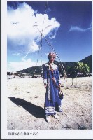 藏品(鞦韆架前的魯凱小百合)的圖片