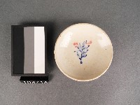 藏品(紅藍彩花卉紋碟)的圖片