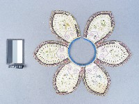 藏品(花蝶紋雲肩)的圖片