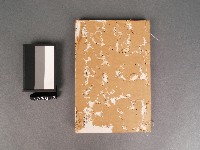 藏品(漁洋(山人)精華錄卷九.十)的圖片