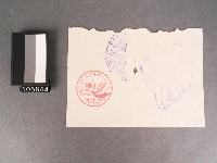 藏品(台灣博覽會紀念章戳-龜甲萬醬油販售株式會社、福福堂、皮靴三友公司)的圖片