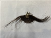 藏品(鼻毛)的圖片