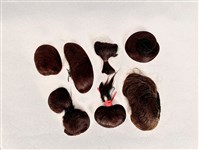 藏品(髮包組)的圖片