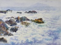 藏品(太平洋龜山島)的圖片