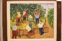 藏品(採收芒果)的圖片