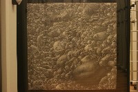 藏品(夢境-共游)的圖片