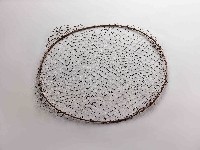 藏品(蝦姑頭網)的圖片