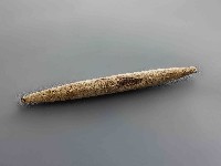 藏品(寸子)的圖片