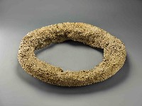 藏品(魚窩)的圖片